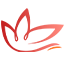 济宁新闻网