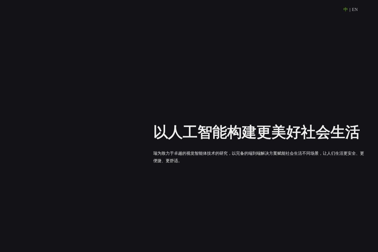 瑞为技术